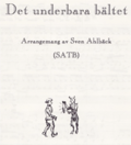 Det underbara bältet